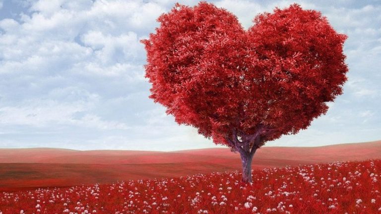 El coraje de enamorarse
