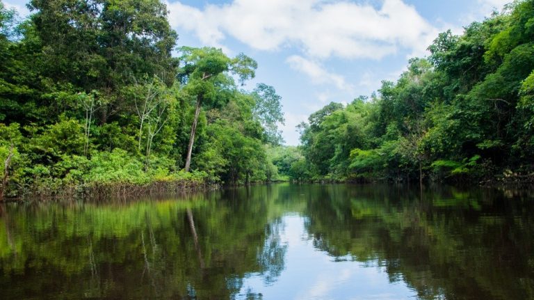 Ciudadanía, Florestanía: La Amazonía, titular de derechos