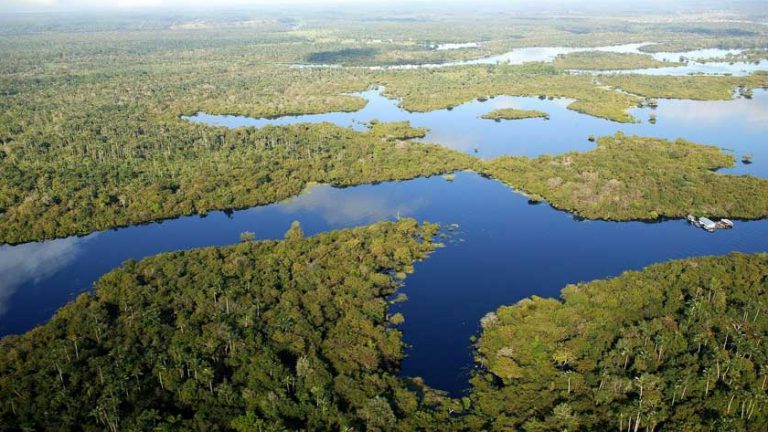 No Espírito do Sínodo da Amazônia
