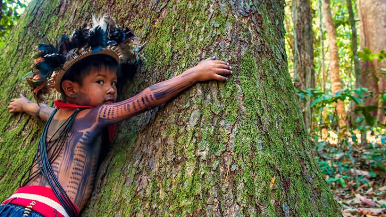 El paradigma ecológico en el catolicismo: repuesta a la actual crisis socioambiental