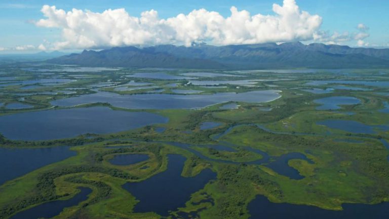 El agua: bien común de la humanidad