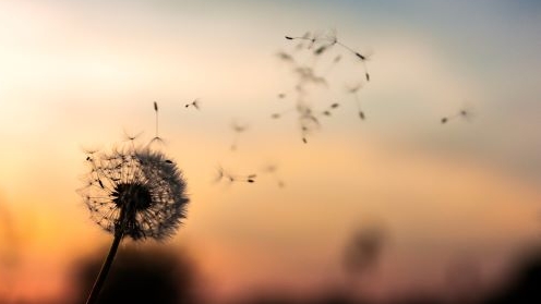 Post-Covid 19: ¿qué virtudes asumir? (IV)
