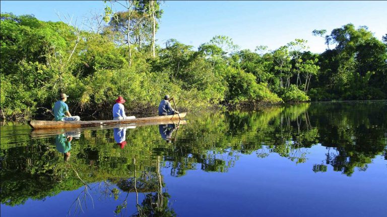 Los derechos de la naturaleza y de la Tierra
