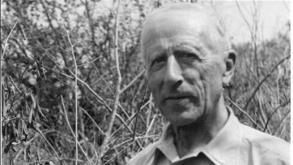 Una lectura desde Teilhard de Chardin