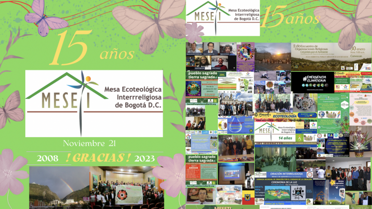 La MESETI está de 15
