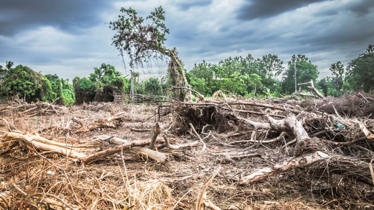 La amenaza más sensible: el cambio climático