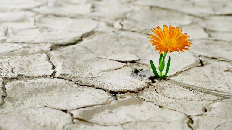 Vivos, vulnerables, ¡humanos!