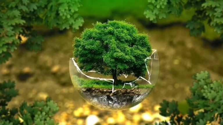 ¿Por qué hemos llegado adonde estamos?: los peligros planetarios