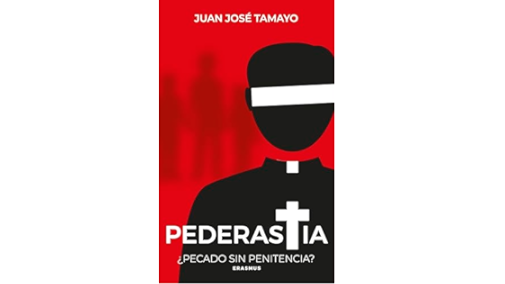 La pederastia en la Iglesia católica, un problema de poder