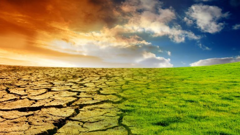 Podemos perecer por no oír los mensajes de la Tierra