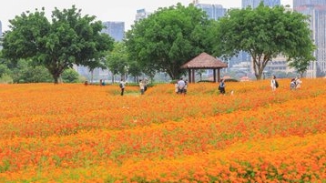 China-Brasil más allá de la economía