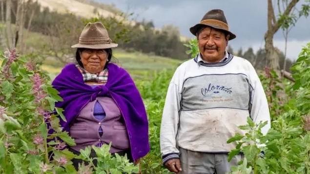 Los pueblos originarios: nuestros maestros y doctores