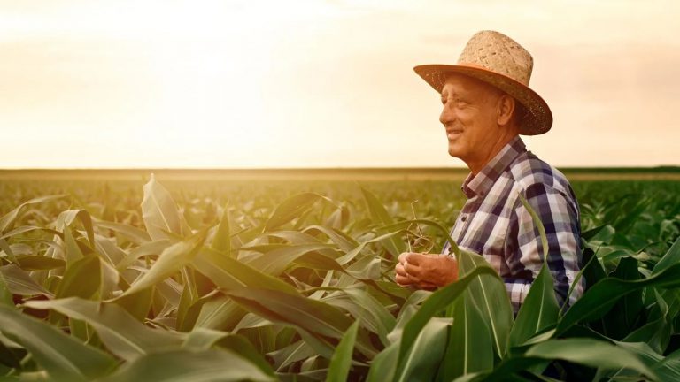 Água, terra, alimento