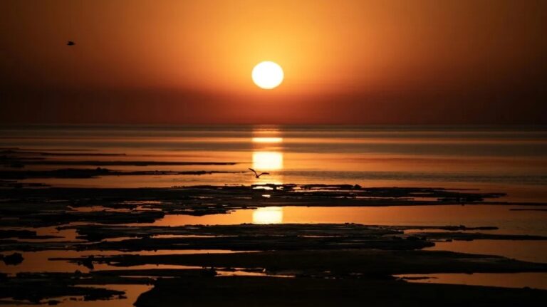 Un informe mundial confirma que en 2025 se registraron temperaturas récord, emisiones de gases de efecto invernadero y un aumento del nivel del mar