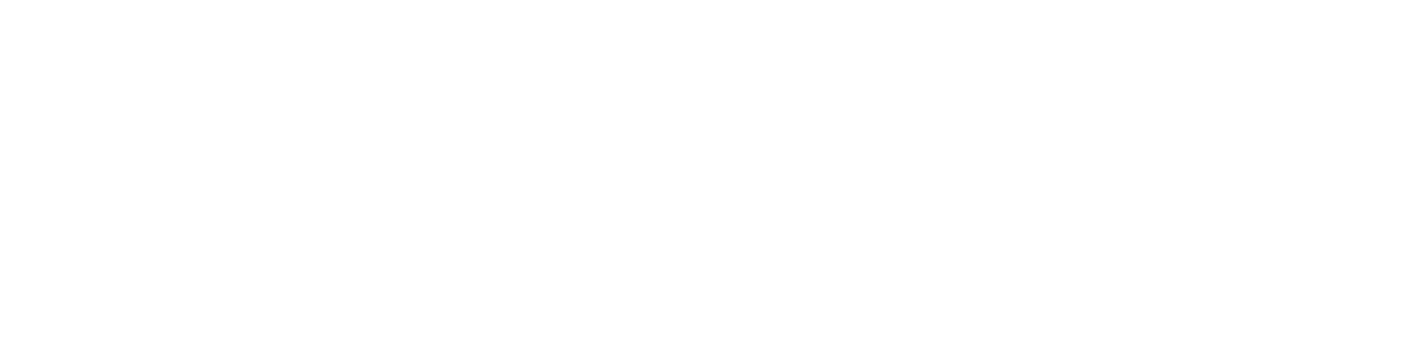 Amerindia en la red