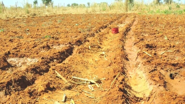 O campo está doente!
