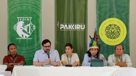 Oro, territorios y derecho: milería ilegal en la Amazonía y el Escudo Guayanés