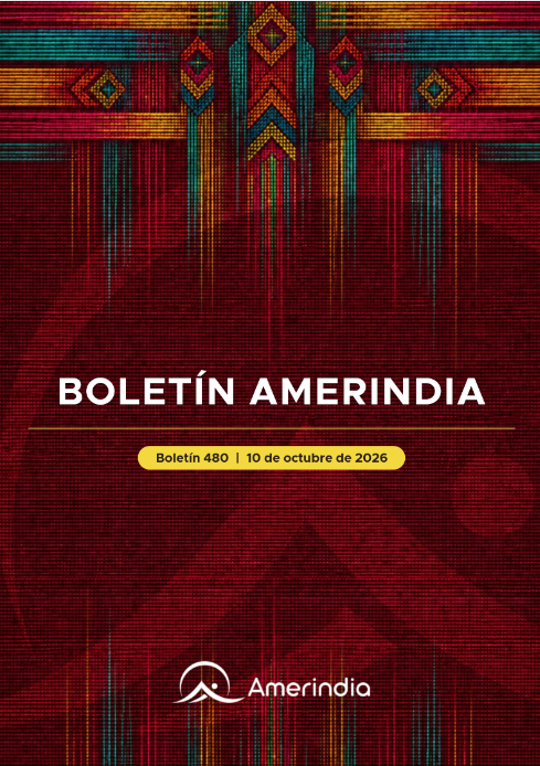 Boletín 480