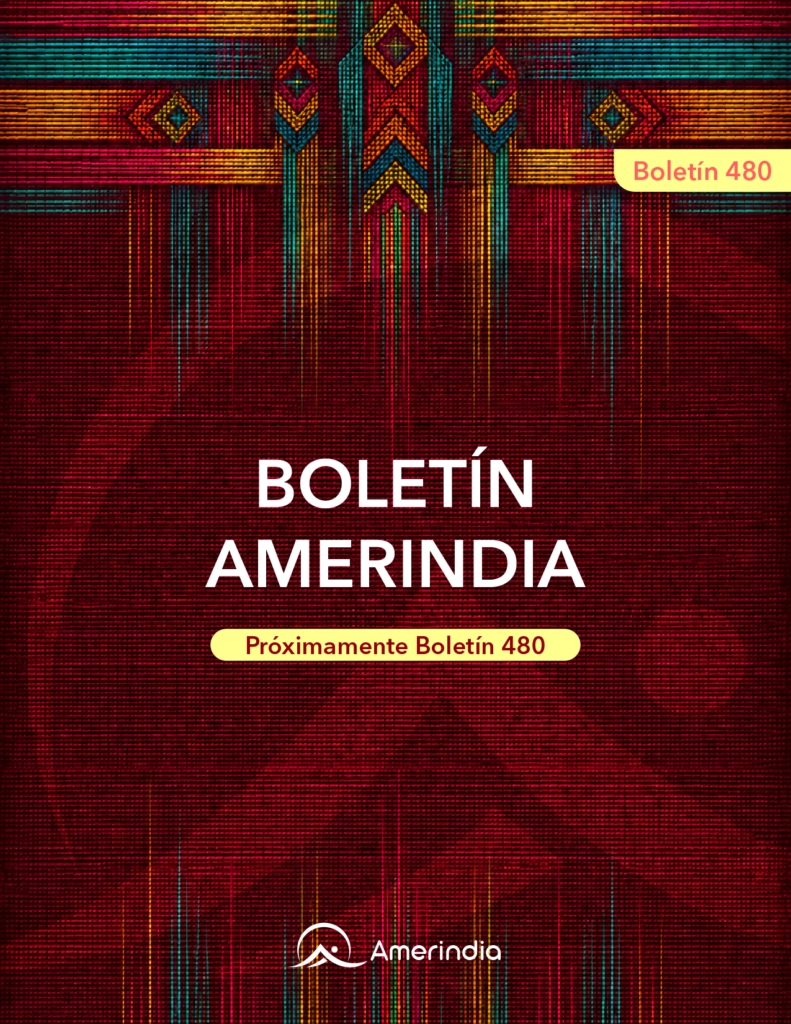 Próximamente Boletín 480