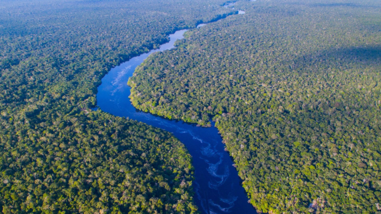 El futuro del Amazonas (y del clima global) se decidirá el 25 de octubre