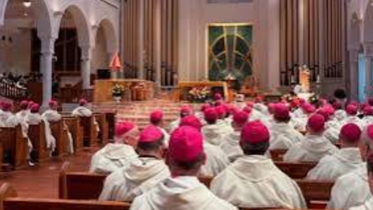 EE. UU.: Los obispos se encuentran en una encrucijada al acercarse a su asamblea anual