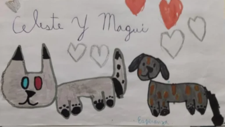 Nuestras mascotas, una invitación a educar en el respeto y el cuidado de la vida