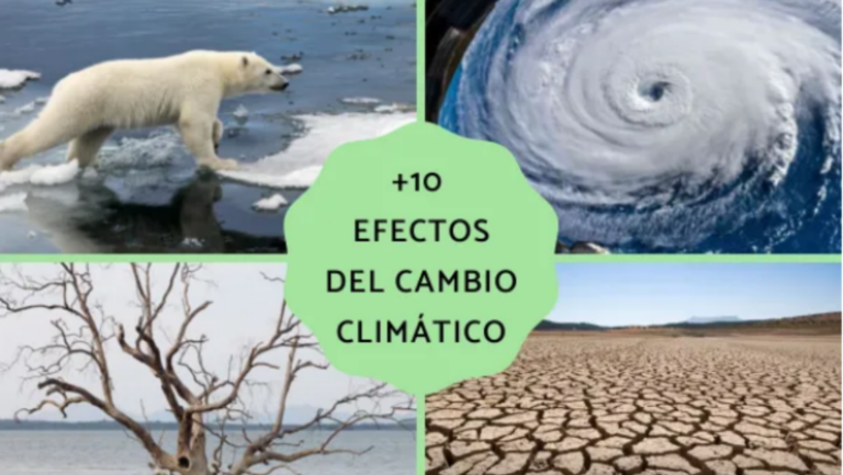 24 octubre: Día Internacional contra el Cambio Climático