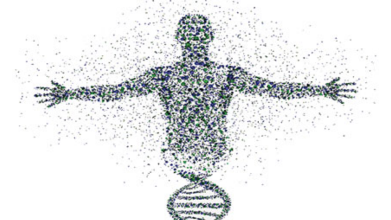 El proyecto humano